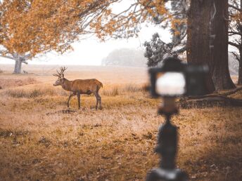 3 Tage Erlebnisurlaub an der Havel im Wildpark Schorfheide