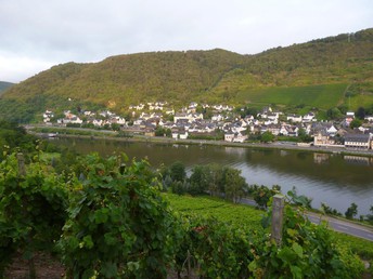 Wanderurlaub an der Mosel - 6 Tage und 4 Traumpfade