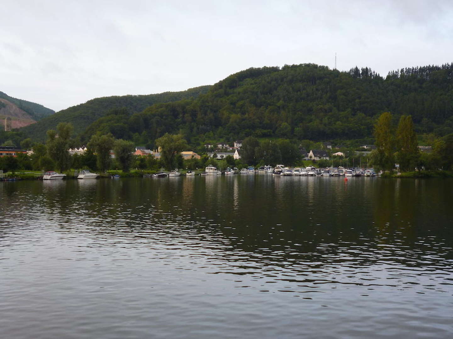 6 Tage Bett & Bike - Radtour an der Mosel inkl. Leihfahrrad für einen Tag