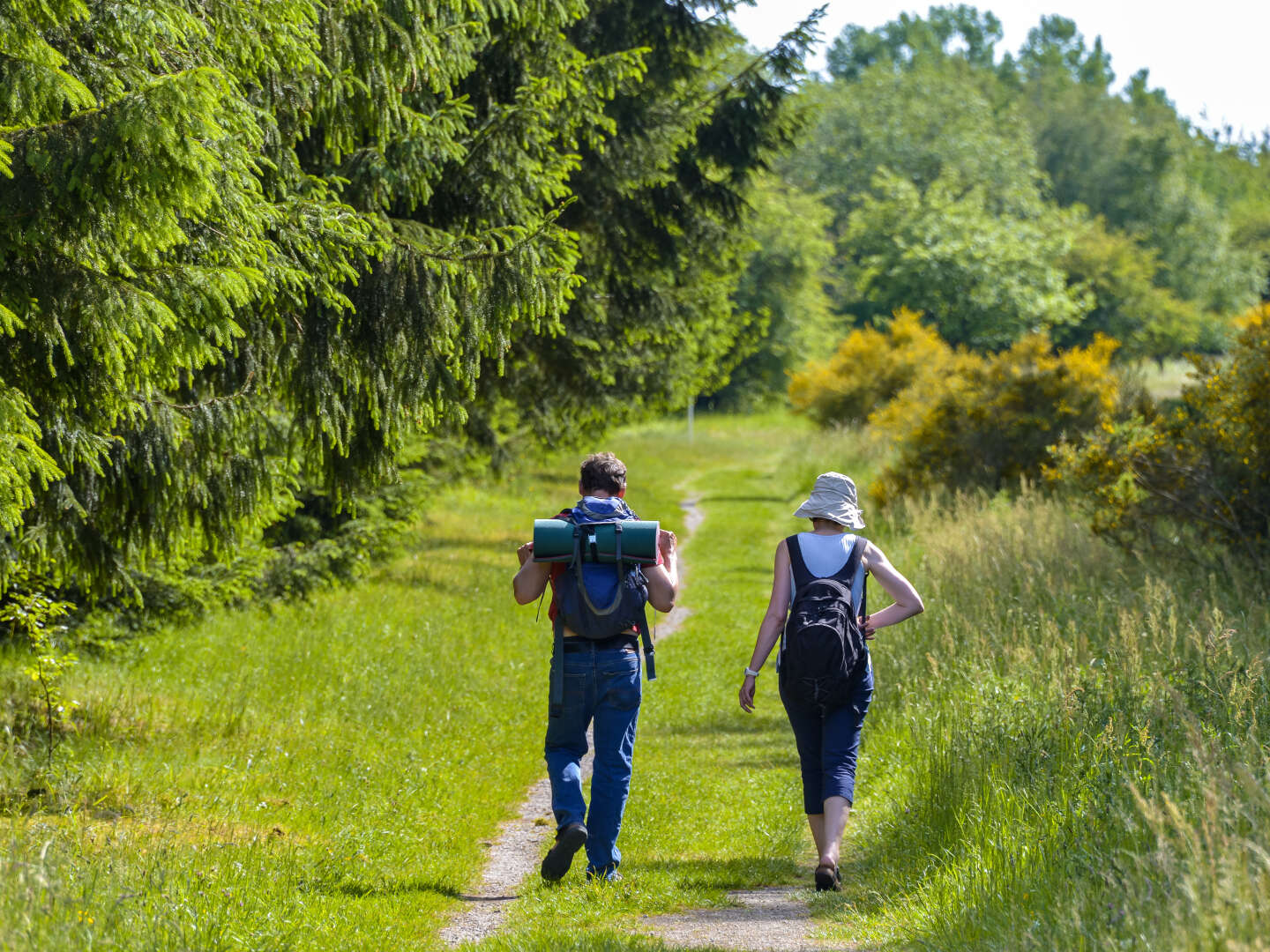 Wandern ist .... auch meine Lust