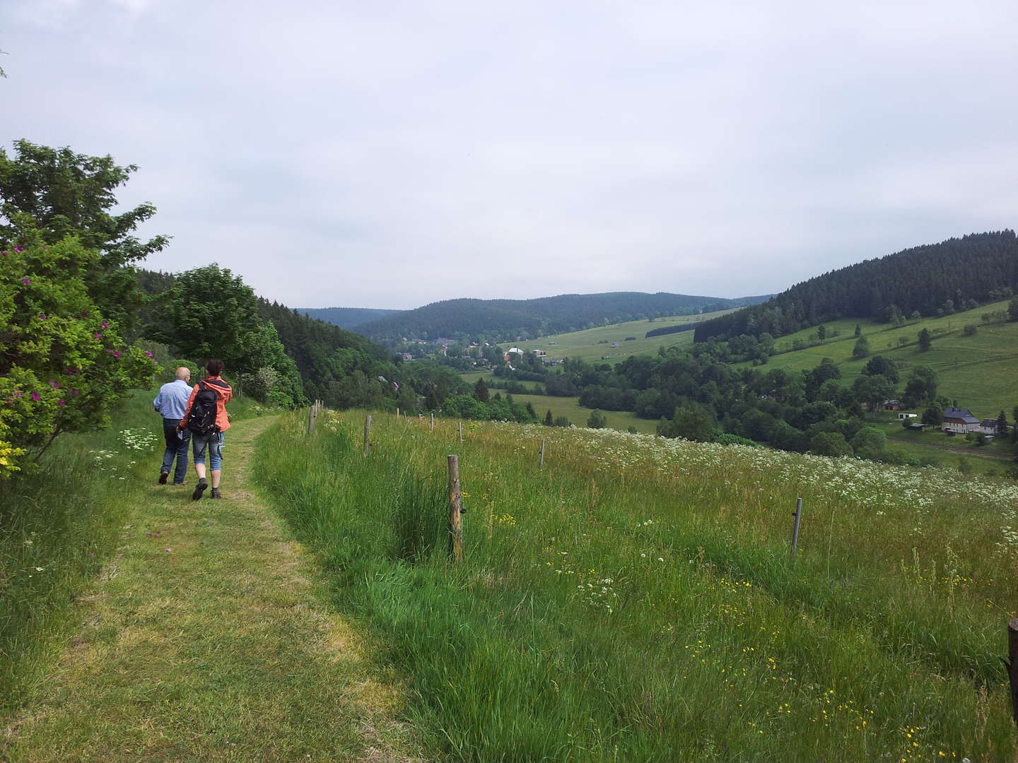 6 Tage - Entspannen im Naturhotel Lindenhof im Erzgebirge   