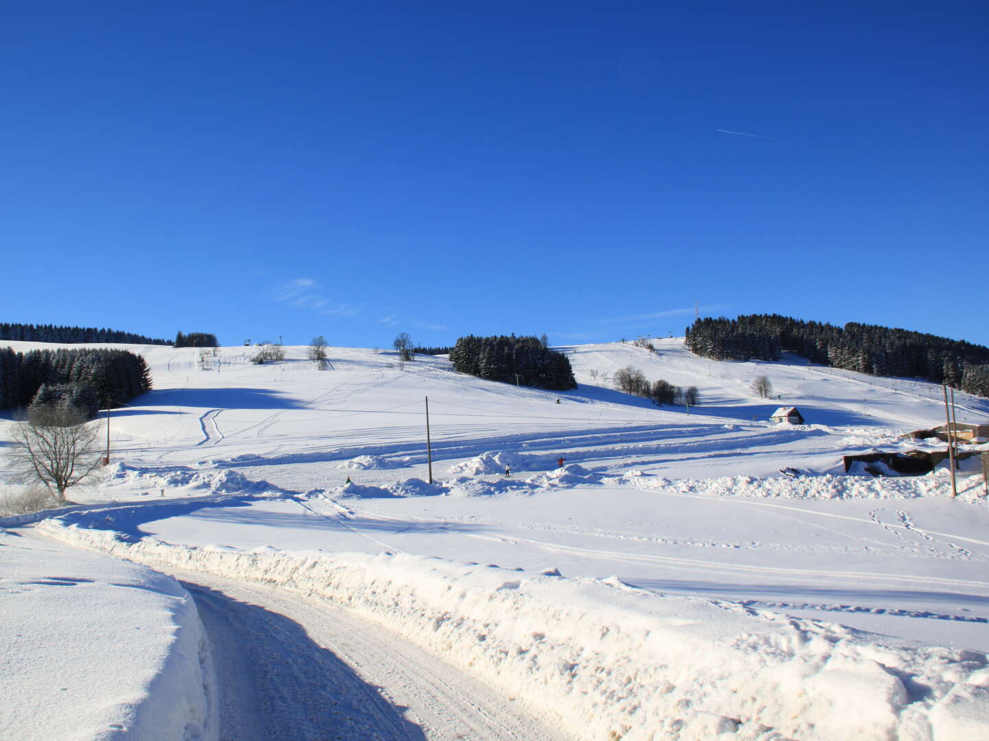 4 Tage im Naturhotel Lindenhof im Erzgebirge inkl. Halbpension 