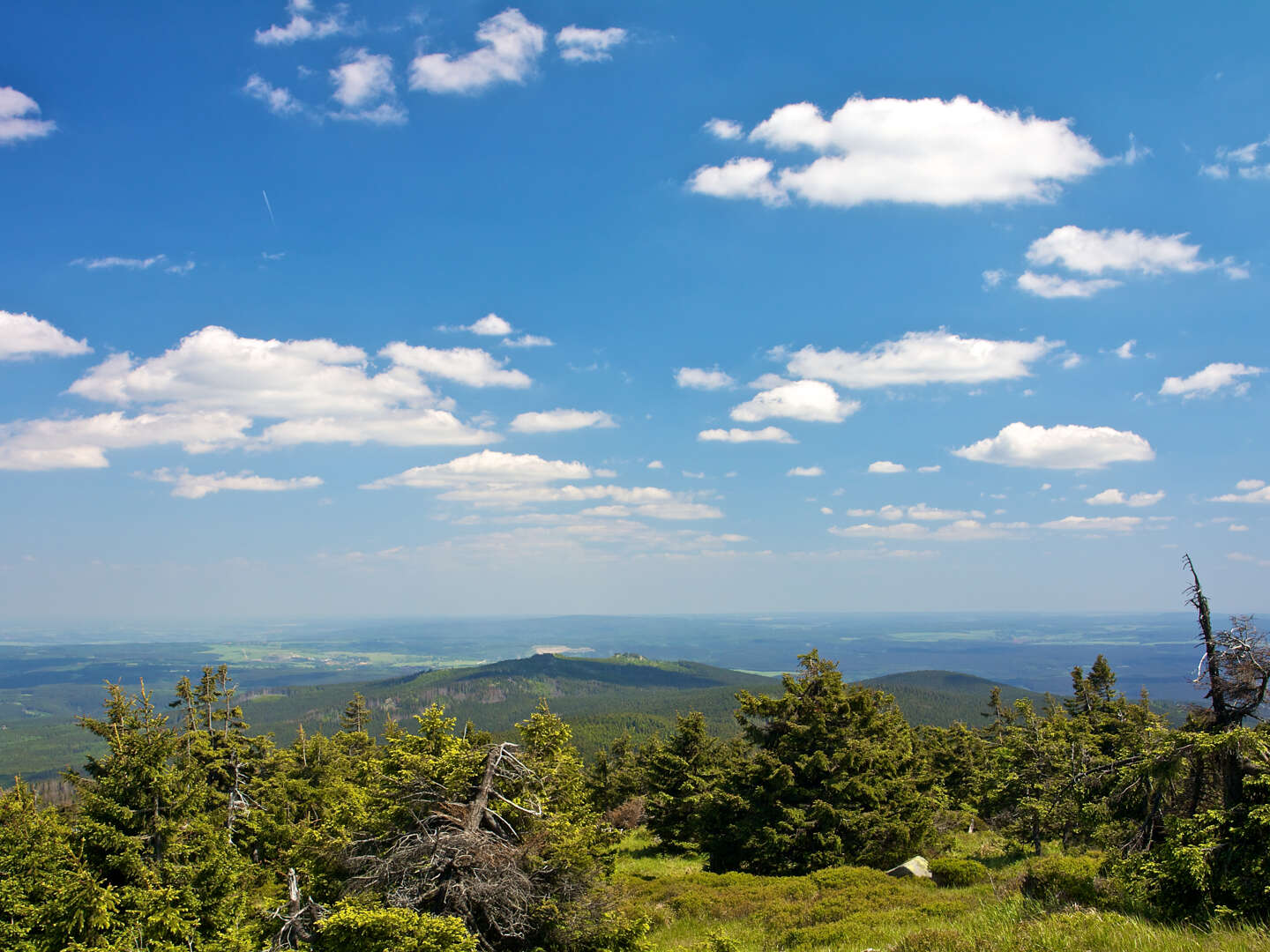 Mit Volldampf zum Brocken im Harz