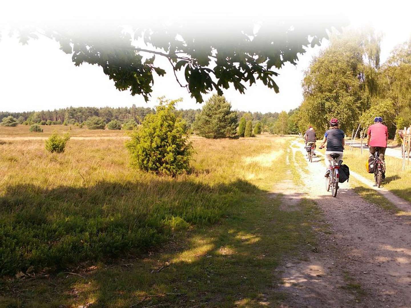 Auszeit in der Lüneburger Heide 