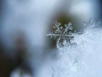 Überraschungs - Special  im Winter