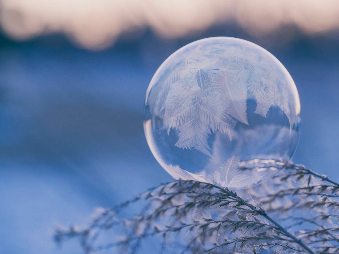 Winterzauber in Kühlungsborn 