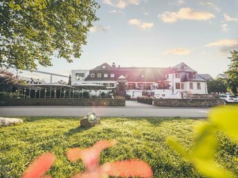 Alpakas Hautnah | Mosel, Landschaft, Wanderspaß