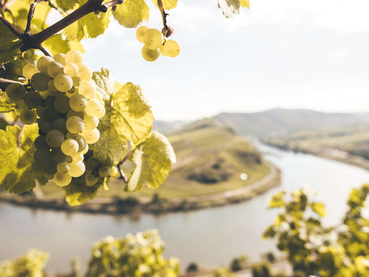 Schnuppertage an der Mosel inkl. Weinpräsent  - 4 Tage