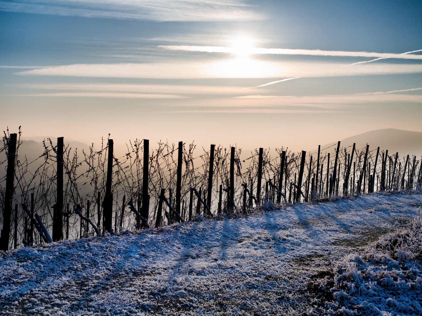 Winterzauber an der Mosel