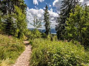 Urlaub im Südschwarzwald - Blackforestline Hängebrücke