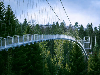 Urlaub im Südschwarzwald - Blackforestline Hängebrücke