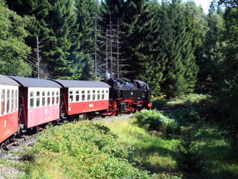 Der Harz zum Kennenlernen - 6 Tage