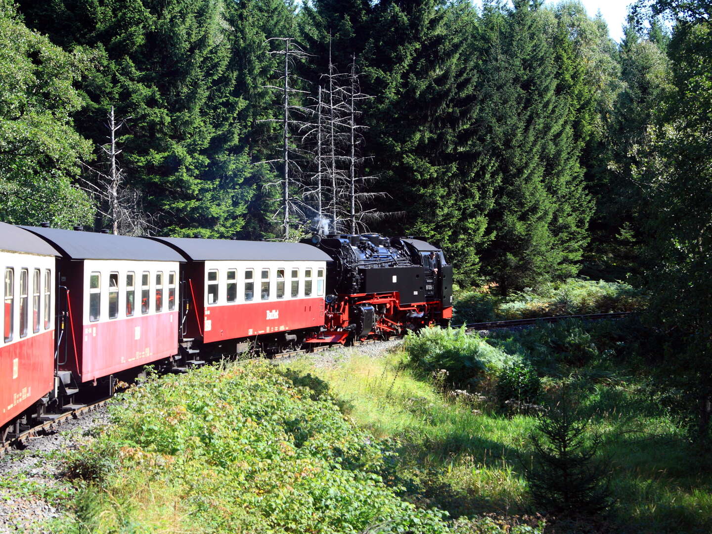 Erlebnisurlaub im Naturpark Harz - 7 Tage 