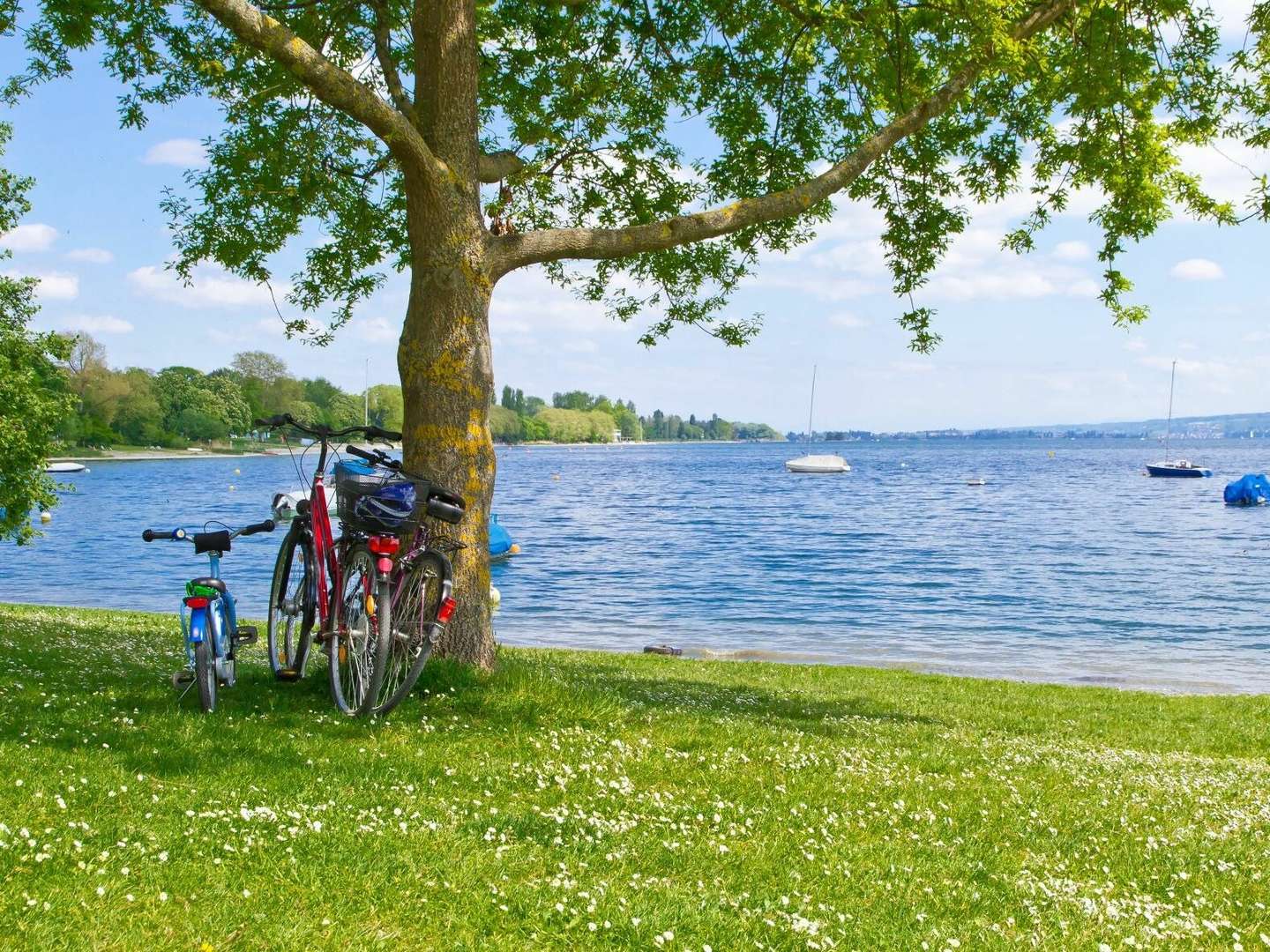 Zwei Prickelnde Sommernächte am Bodensee