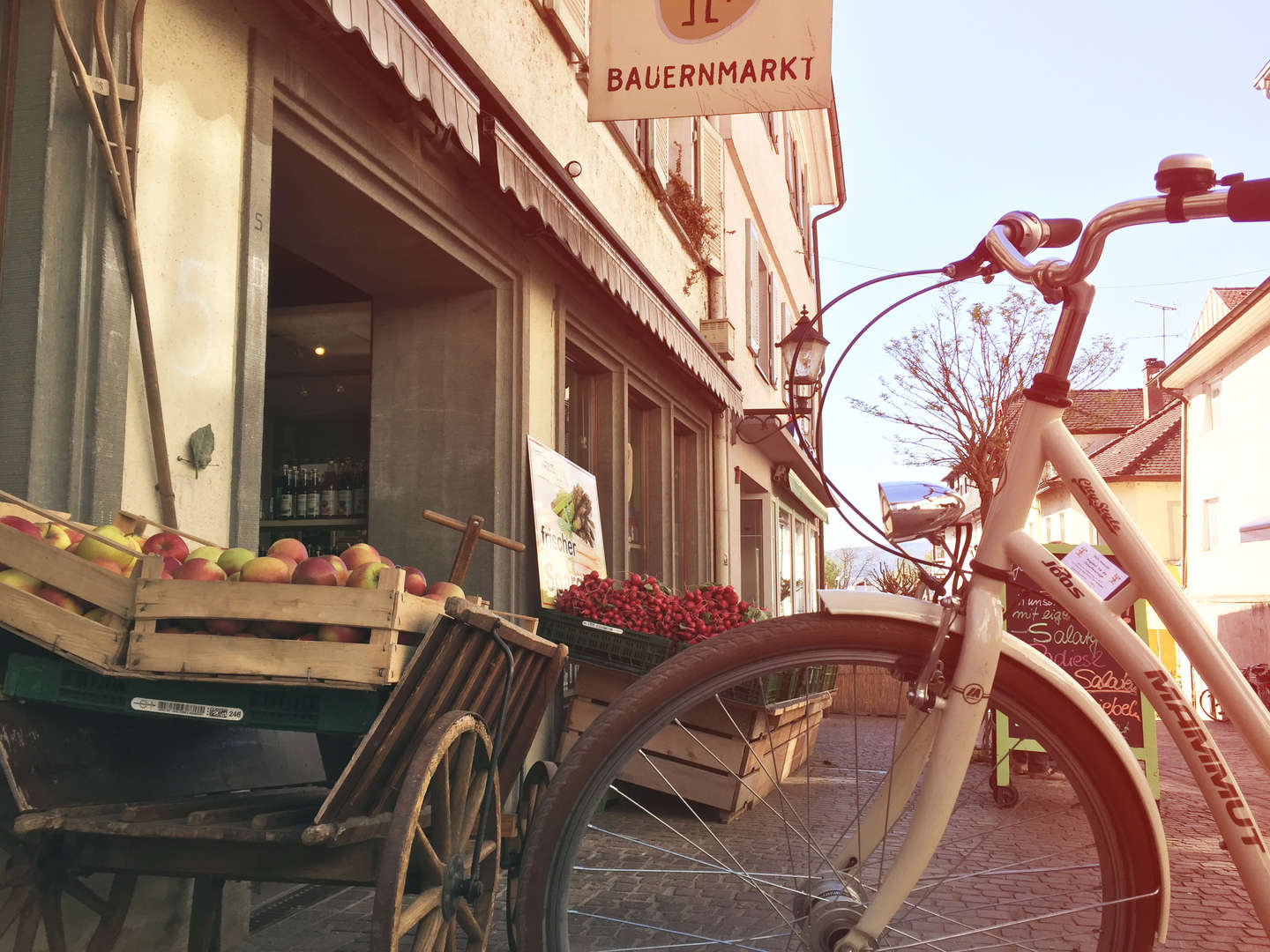 Bed, Bike & Breakfast am Bodensee| 3 Tage