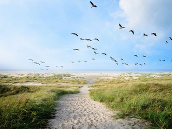 moin an der Nordsee - 7 Tage in Ostfriesland inkl. Abendessen    