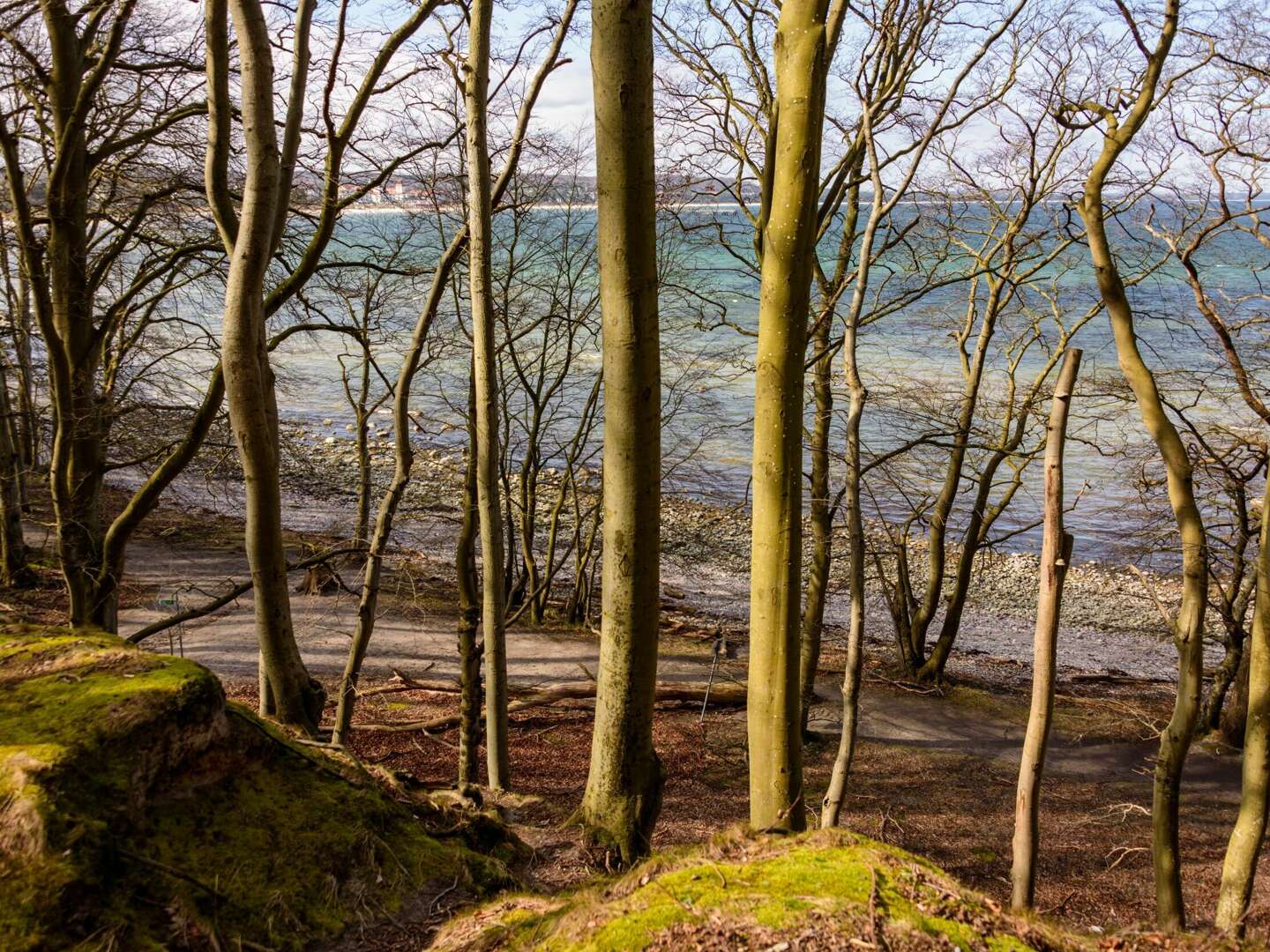 Märzreise an die Ostsee