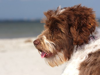  Norderney-Urlaub für 3 Tage