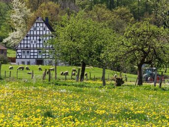 Ostern im Sauerland inkl. Abendessen| 4 Tage