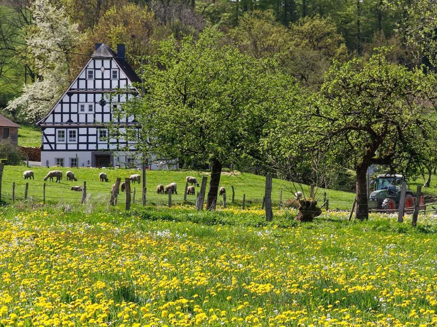 Christi Himmelfahrt im Sauerland - Das lange Wochenende nutzen!