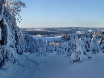 4 Tage Skilaufen oder Schneeschuhwandern im Sauerland