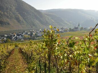 Kurzurlaub beim Winzer an der Mosel inkl. Gästeticket und Weinprobe 2