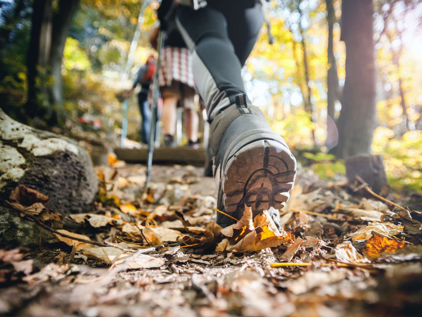 Herbst - Spezial beim Moselwinzer