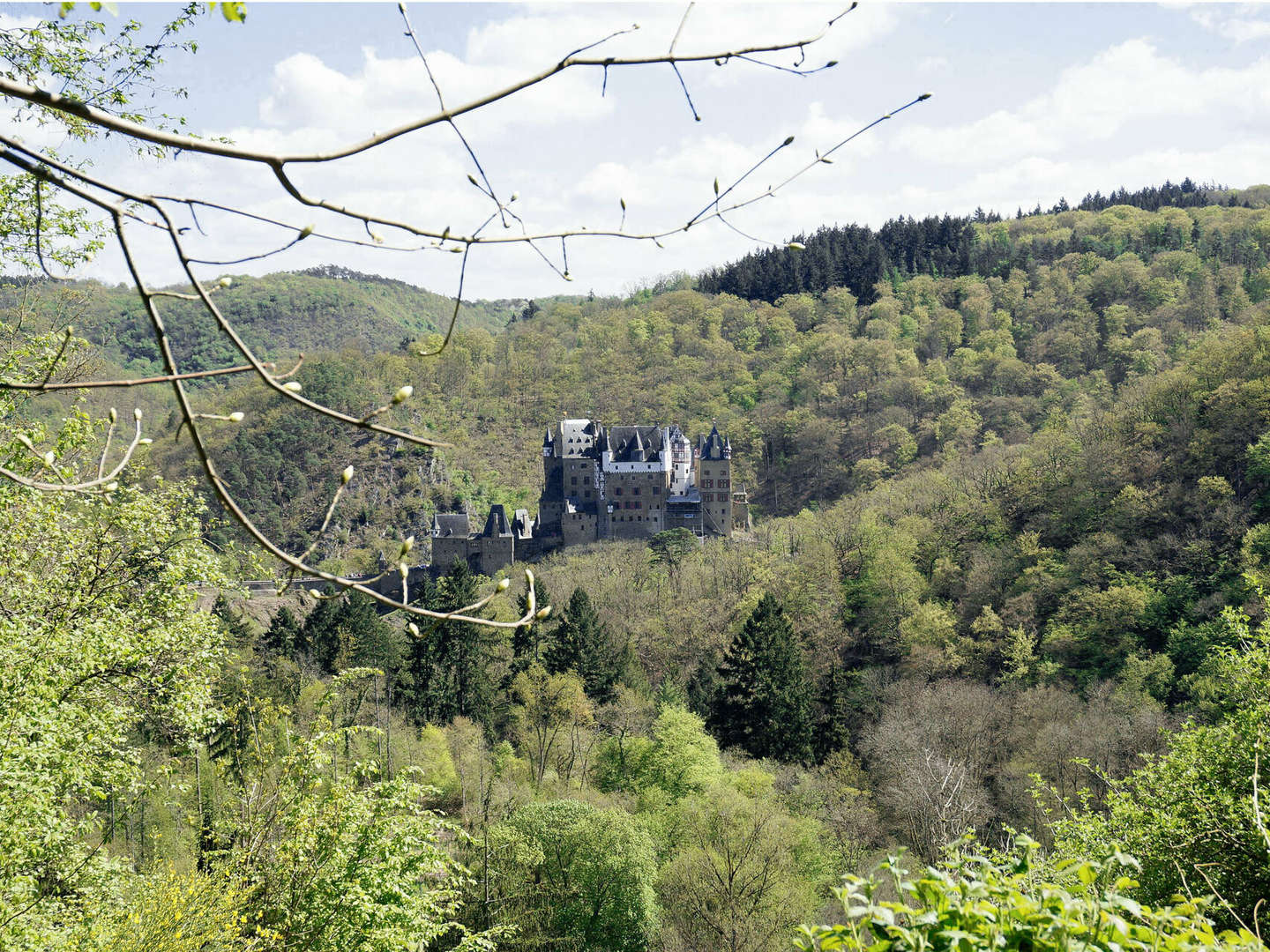 Kurzurlaub beim Winzer an der Mosel inkl. Gästeticket und Weinprobe