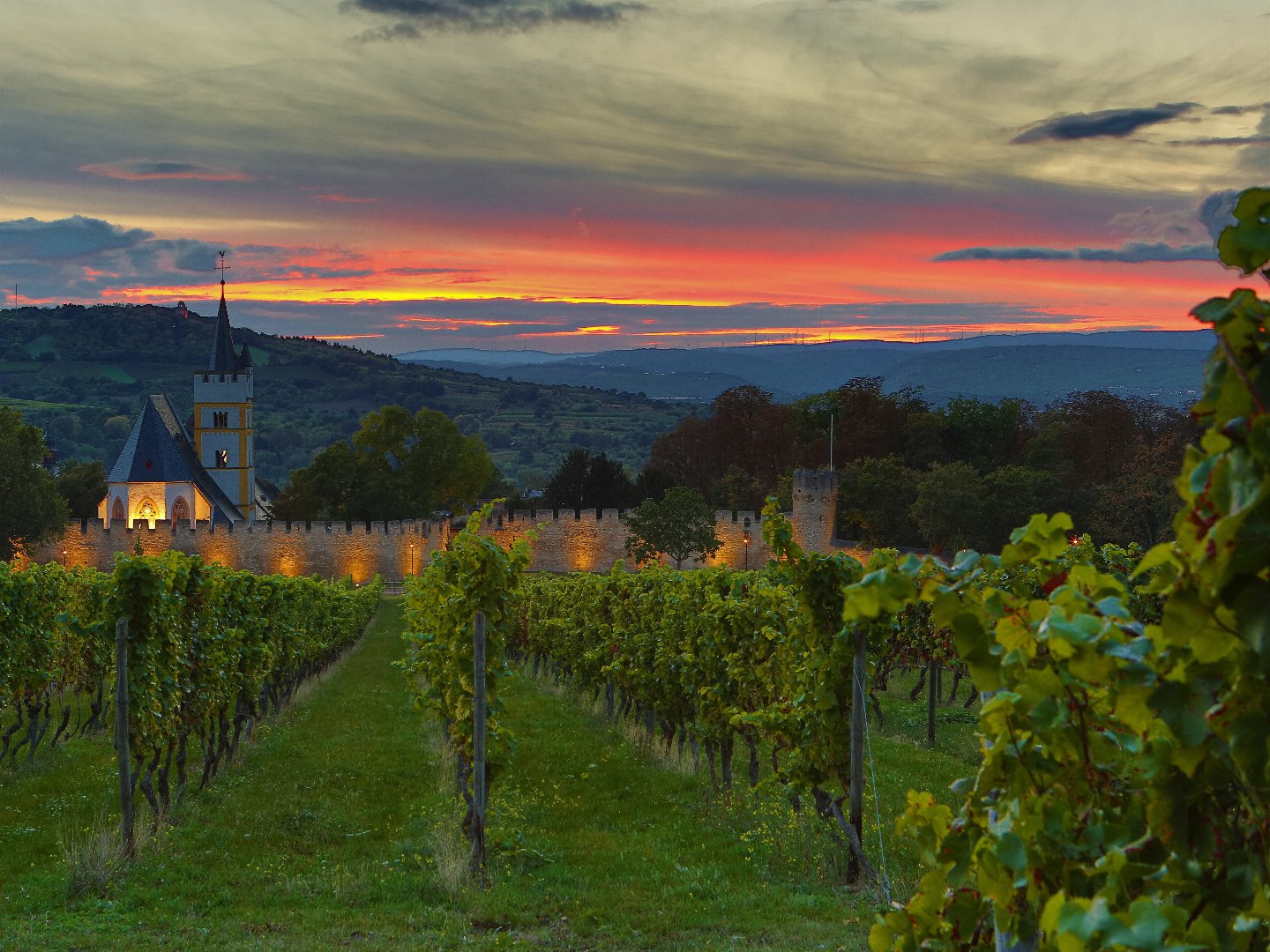 Vino Tage in Rheinhessen inkl. Weinverkostung