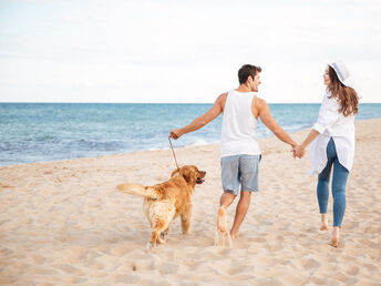 Urlaub mit Ihrem Hund - 3 entspannte Tage mit Ihrem Vierbeiner auf der Insel Rügen