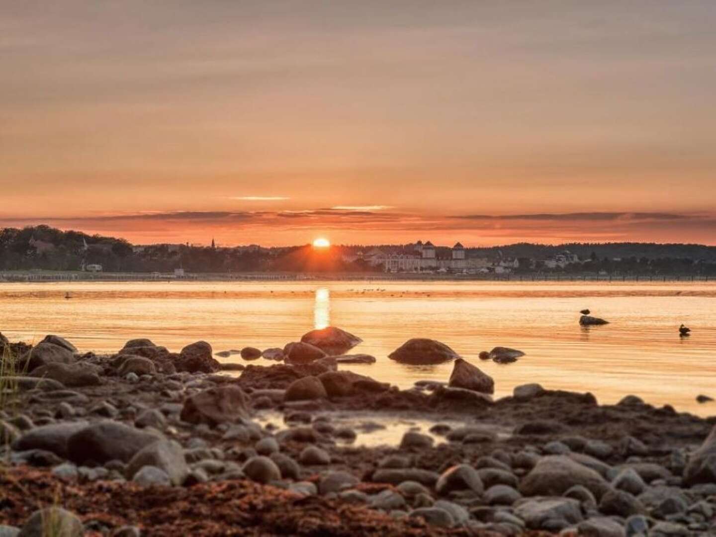 Sommerstrandtage auf Rügen genießen 