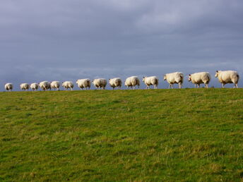 7 Tage Kurzurlaub an der Nordsee