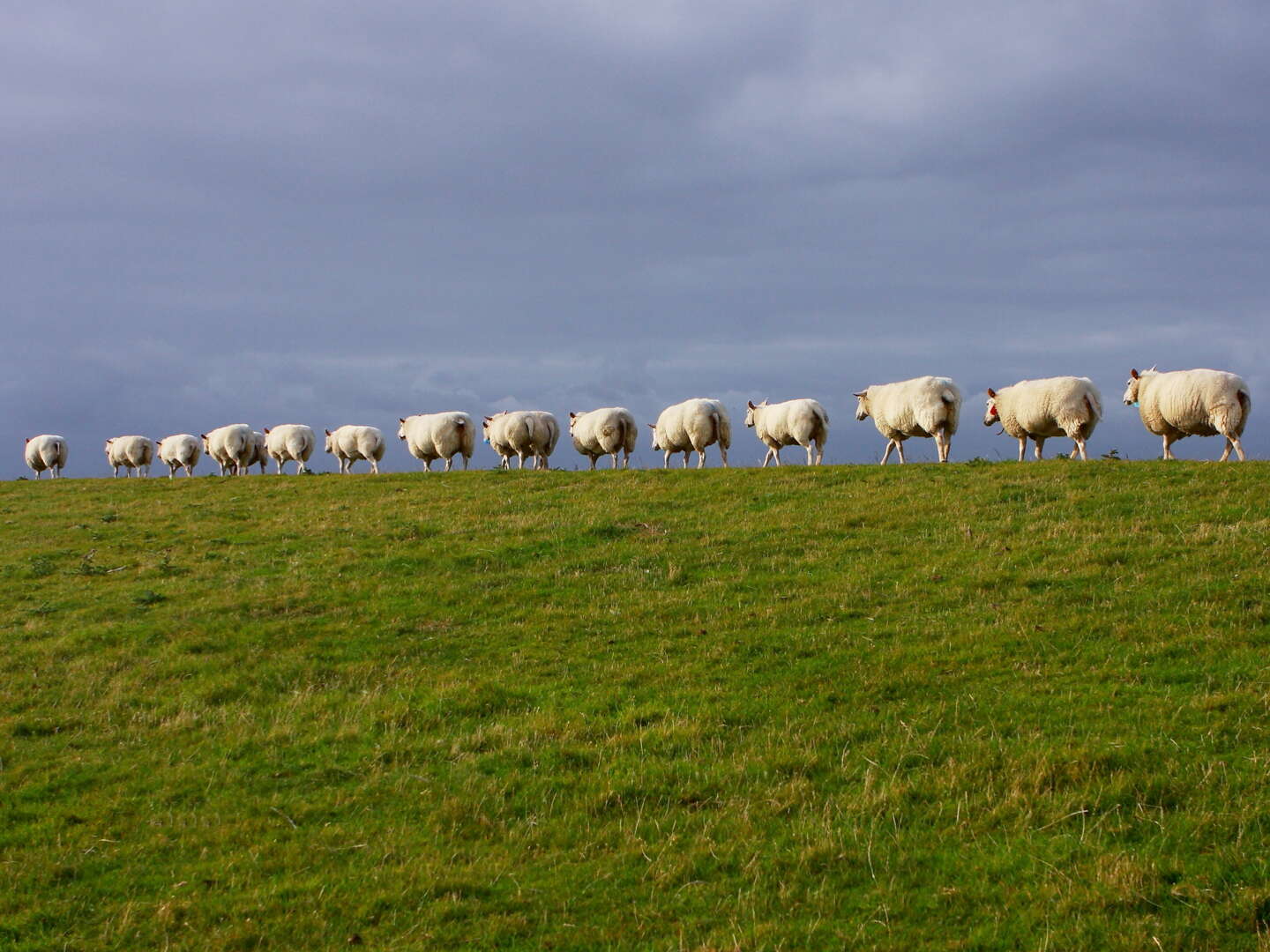 4 Tage Kurzurlaub an der Nordsee