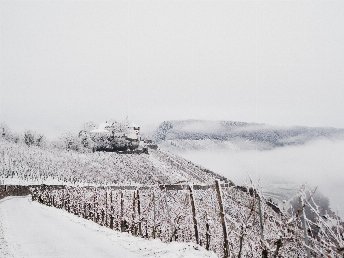 Die Mosel im Frühjahr entdecken | 4 Tage