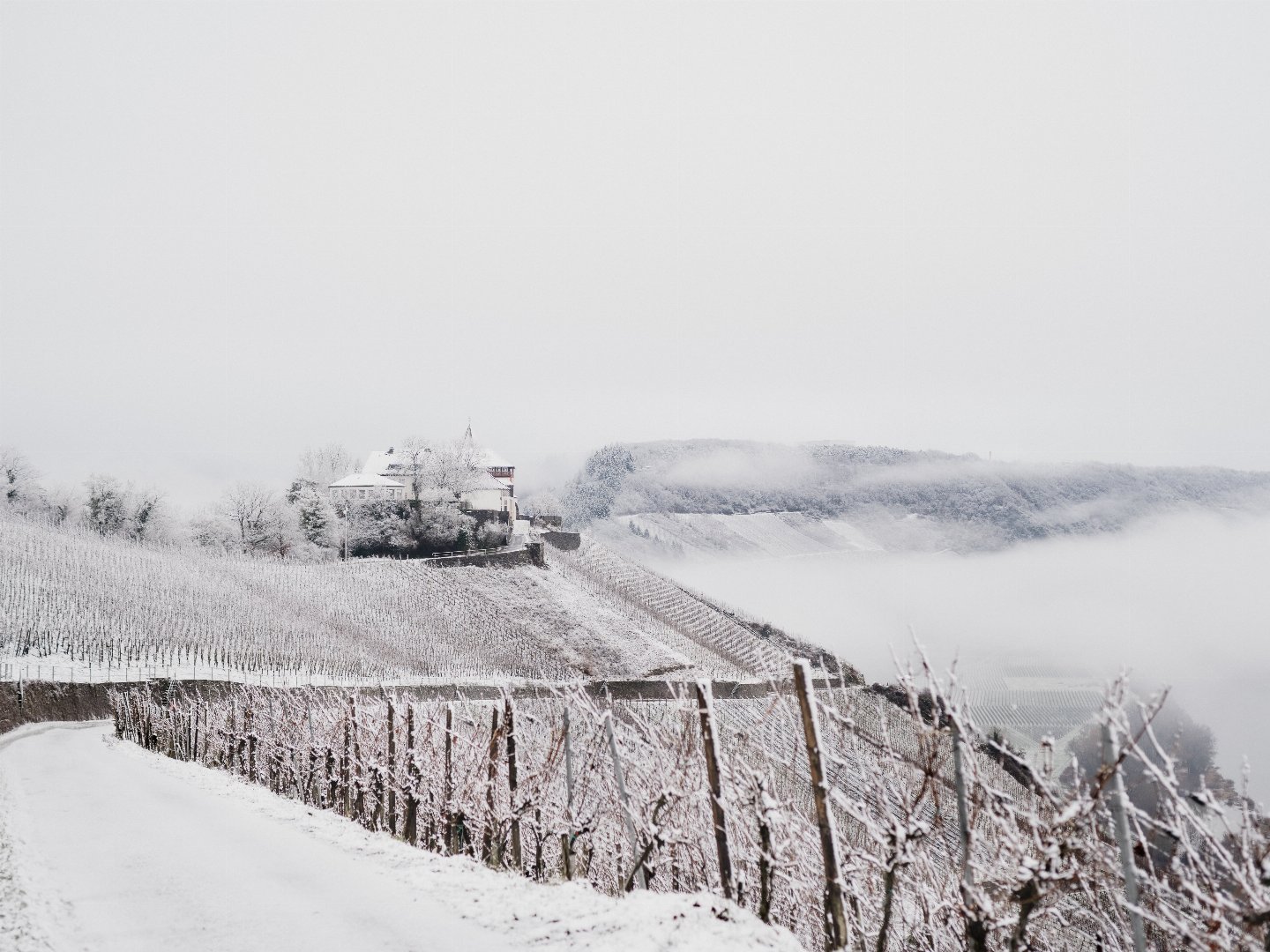 Die Mosel im Frühjahr entdecken | 4 Tage