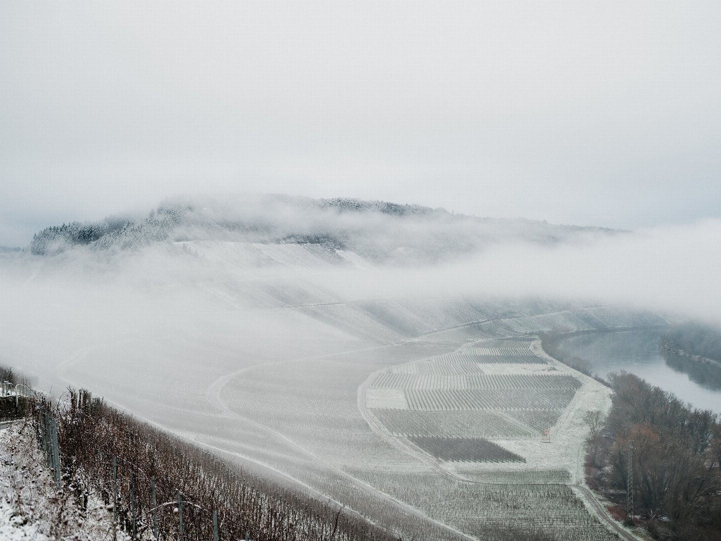 Die Mosel im Frühjahr entdecken | 4 Tage