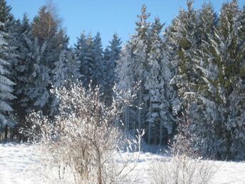 Ausflug an die Mittelmosel inkl. 4-Gang Genuss-Menü im Winter