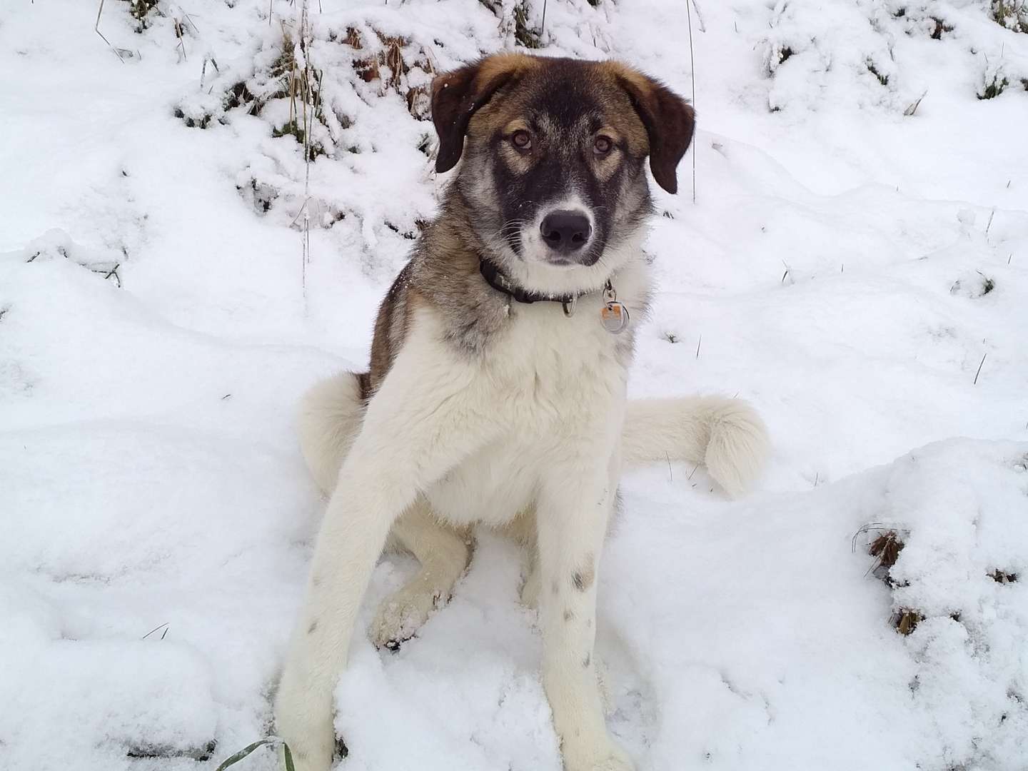 SKi & Rodeln in Winterberg