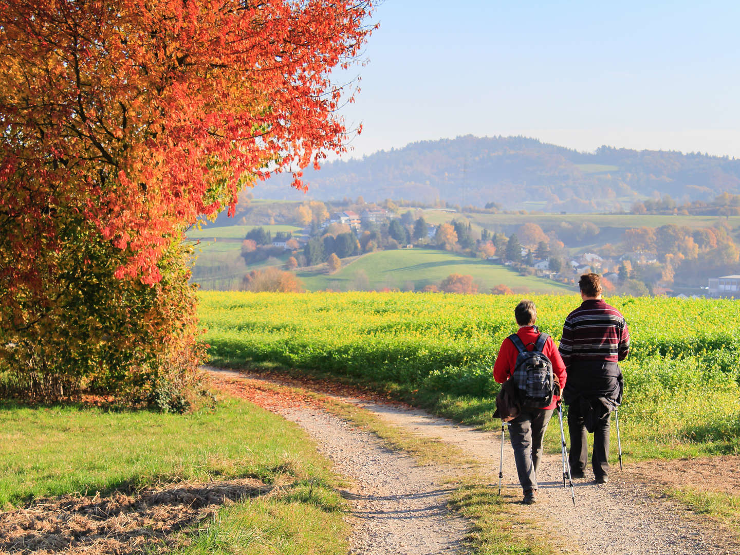 Herbstzeit in Winterberg - 3 Tage 