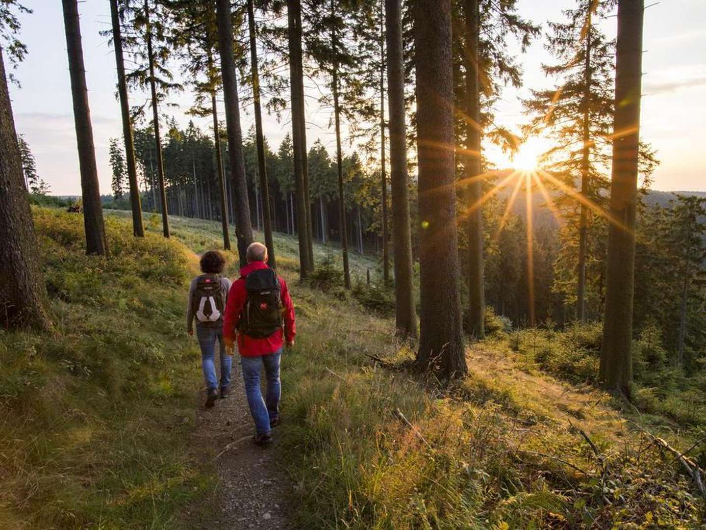 Biken und Radfahren im Sauerland inkl. Abendessen & Lunchpaket