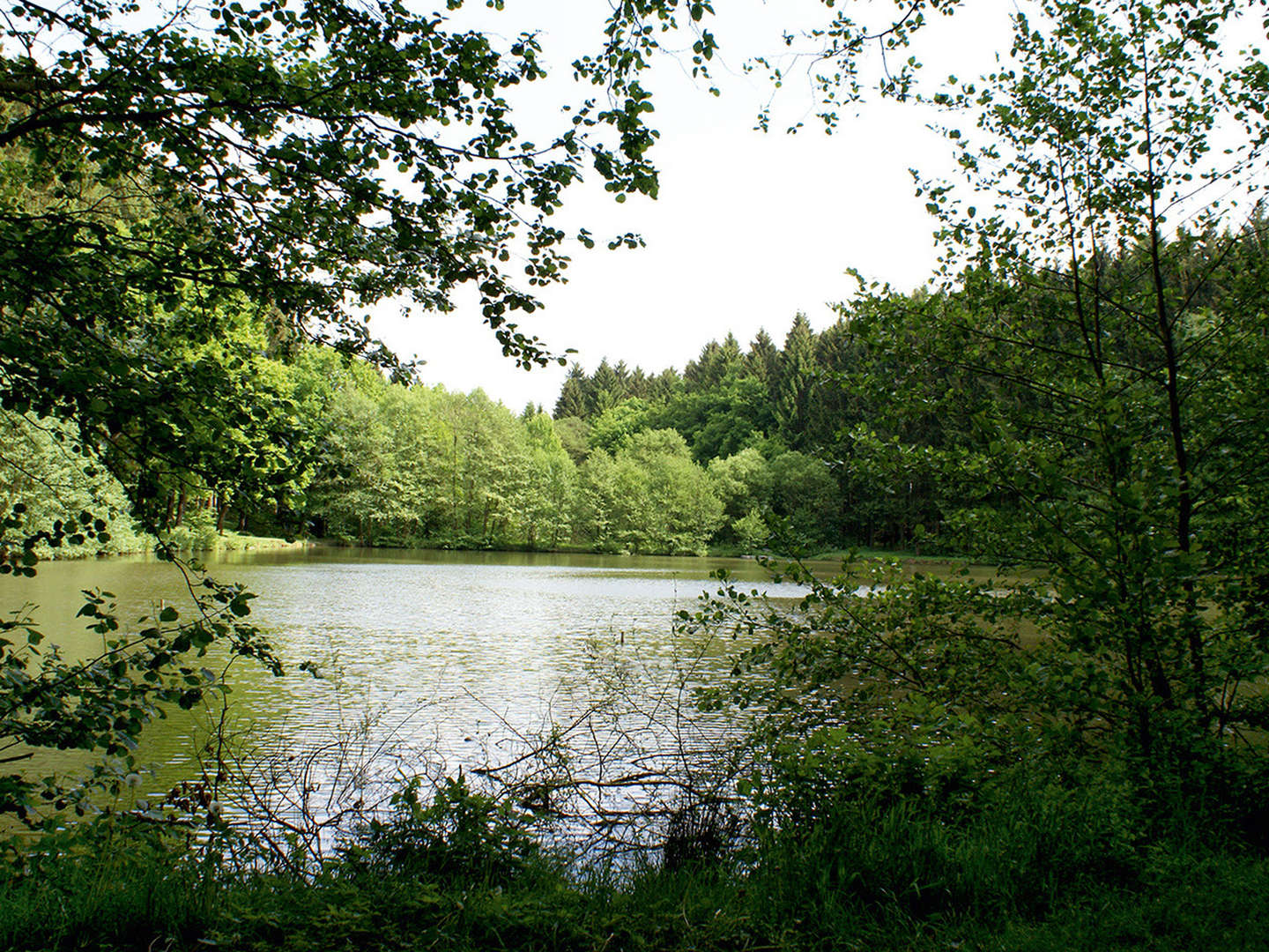 Gourmet - Kurzreise inmitten naturbelassener Umgebung - 3 Tage im Westerwald