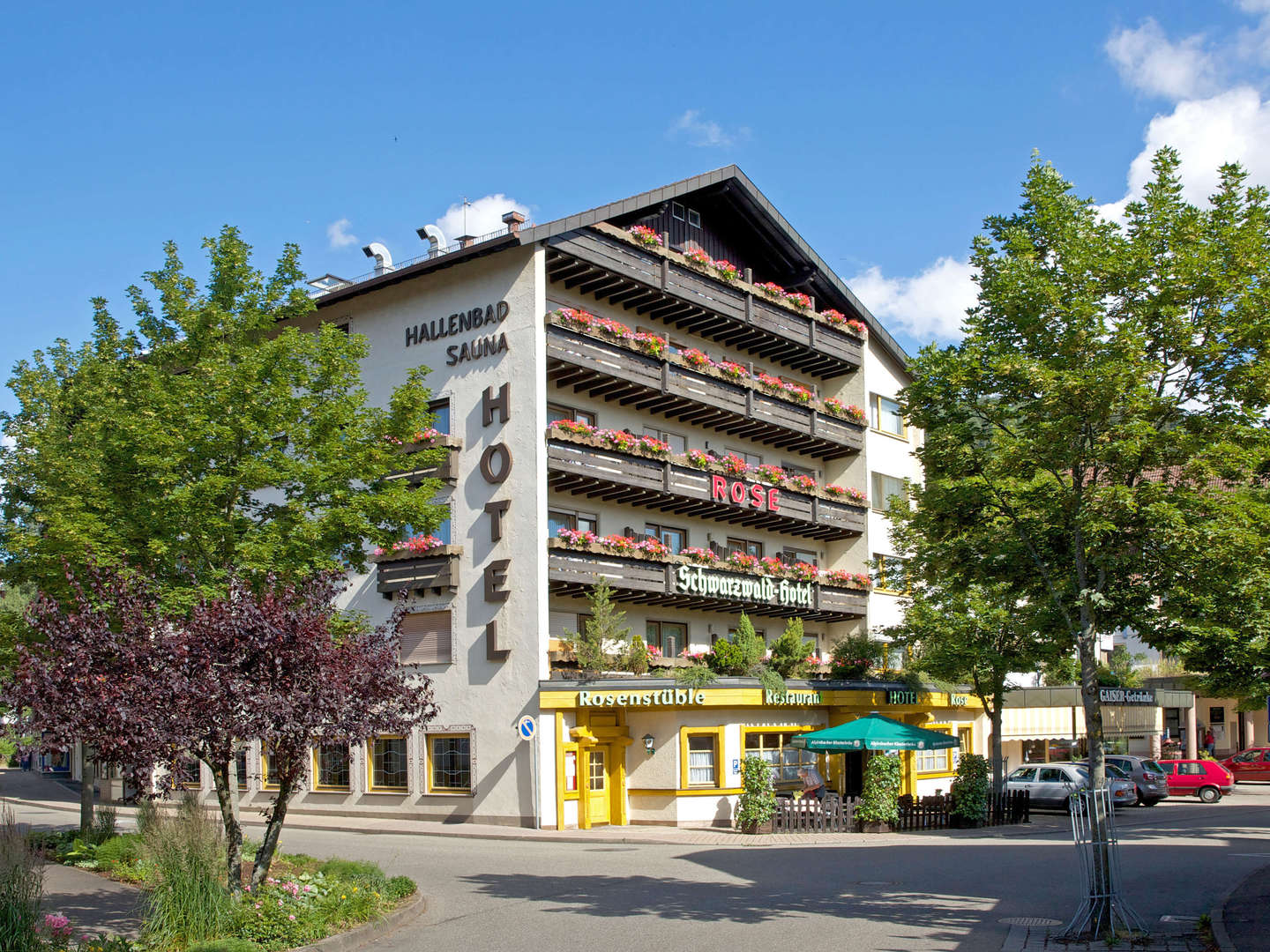 Sommernächte im Schwarzwald