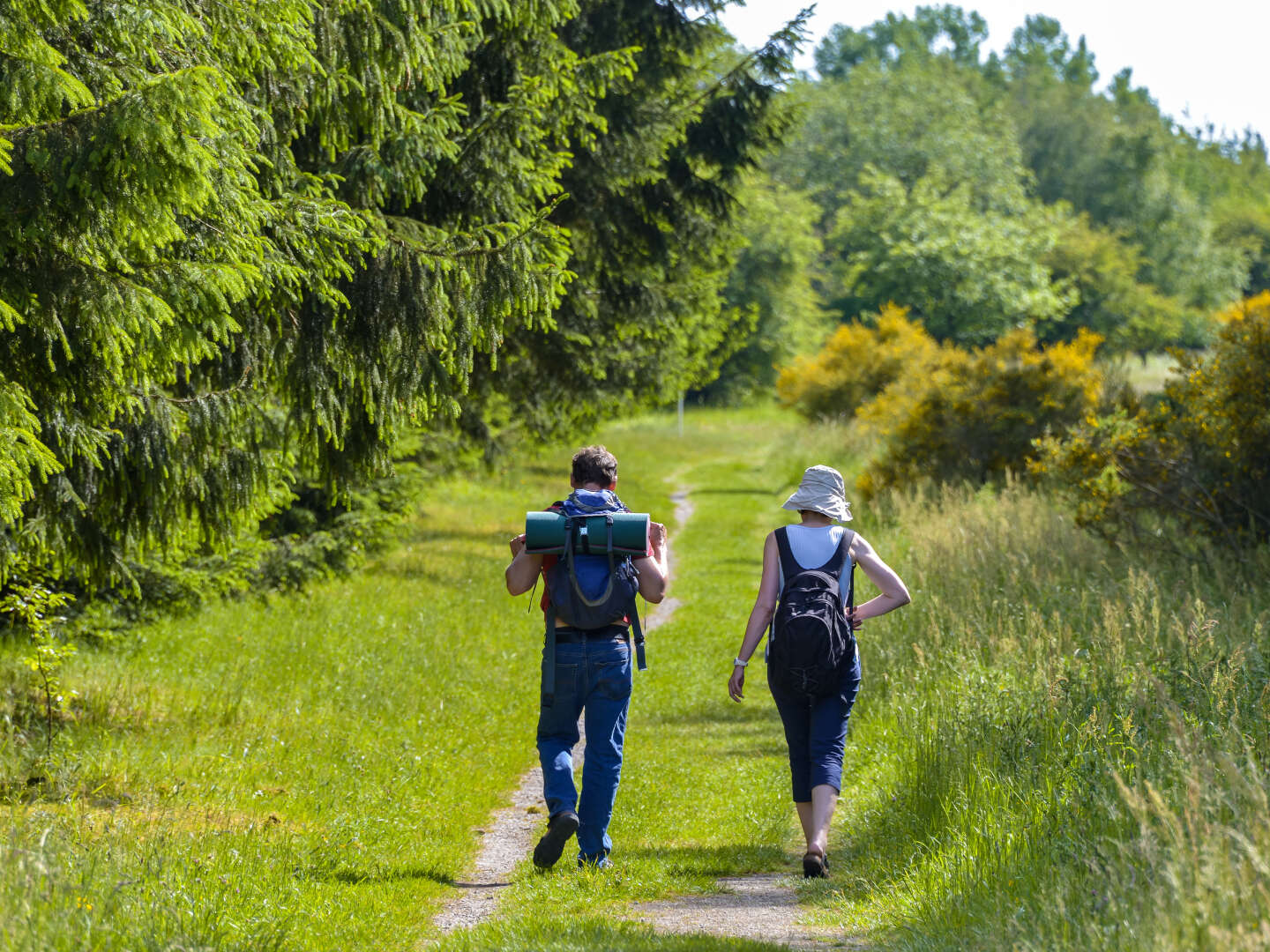 3 Wandertage in der Eifel inkl. Lunchbox und 3-Gang-Menü oder Buffet