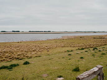 Sanft - Romantisch an der Nordseeküste