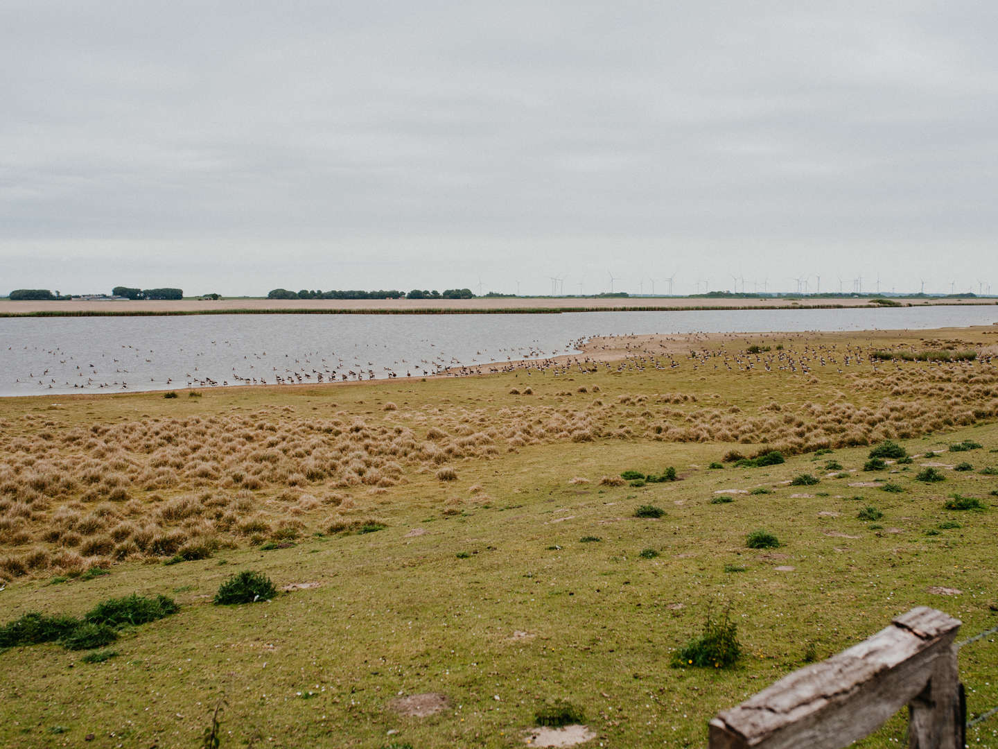 Sanft - Romantisch an der Nordseeküste