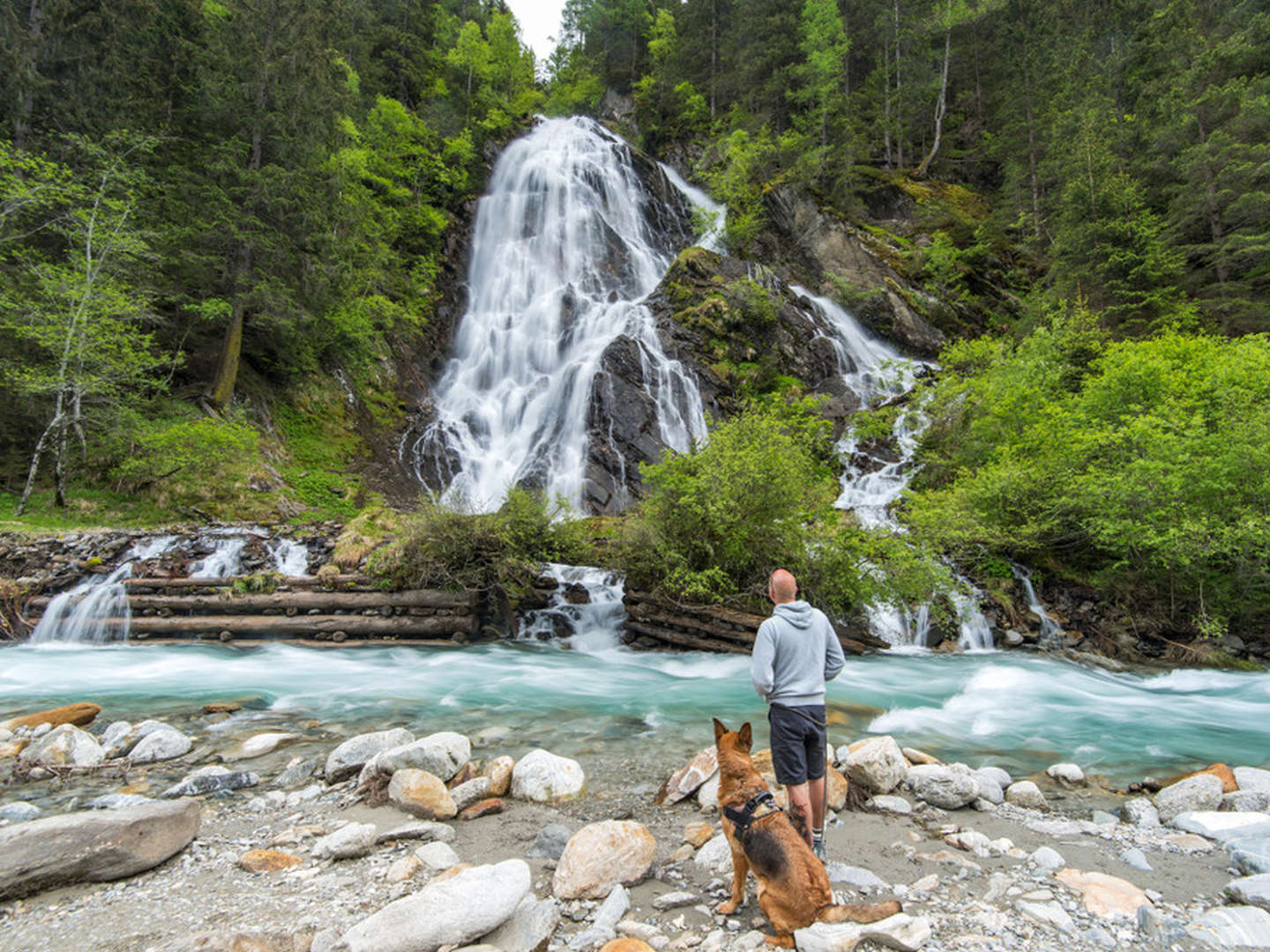 Auszeit mit Ihrem Hund im Nationalpark Hohe Tauern im Appartement 