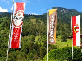 Bergpanorama im Gasteinertal inkl. Abendessen | 4 Nächte  