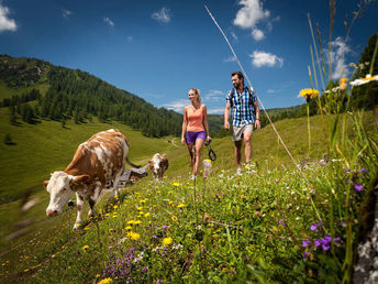 Lämmerhofs Wanderwochen inkl. Almhüttenwanderung