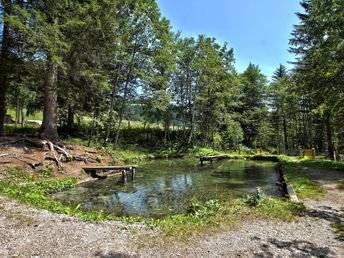 Wellness & Wandern mitten in den Salzburger Bergen | 6 Nächte 