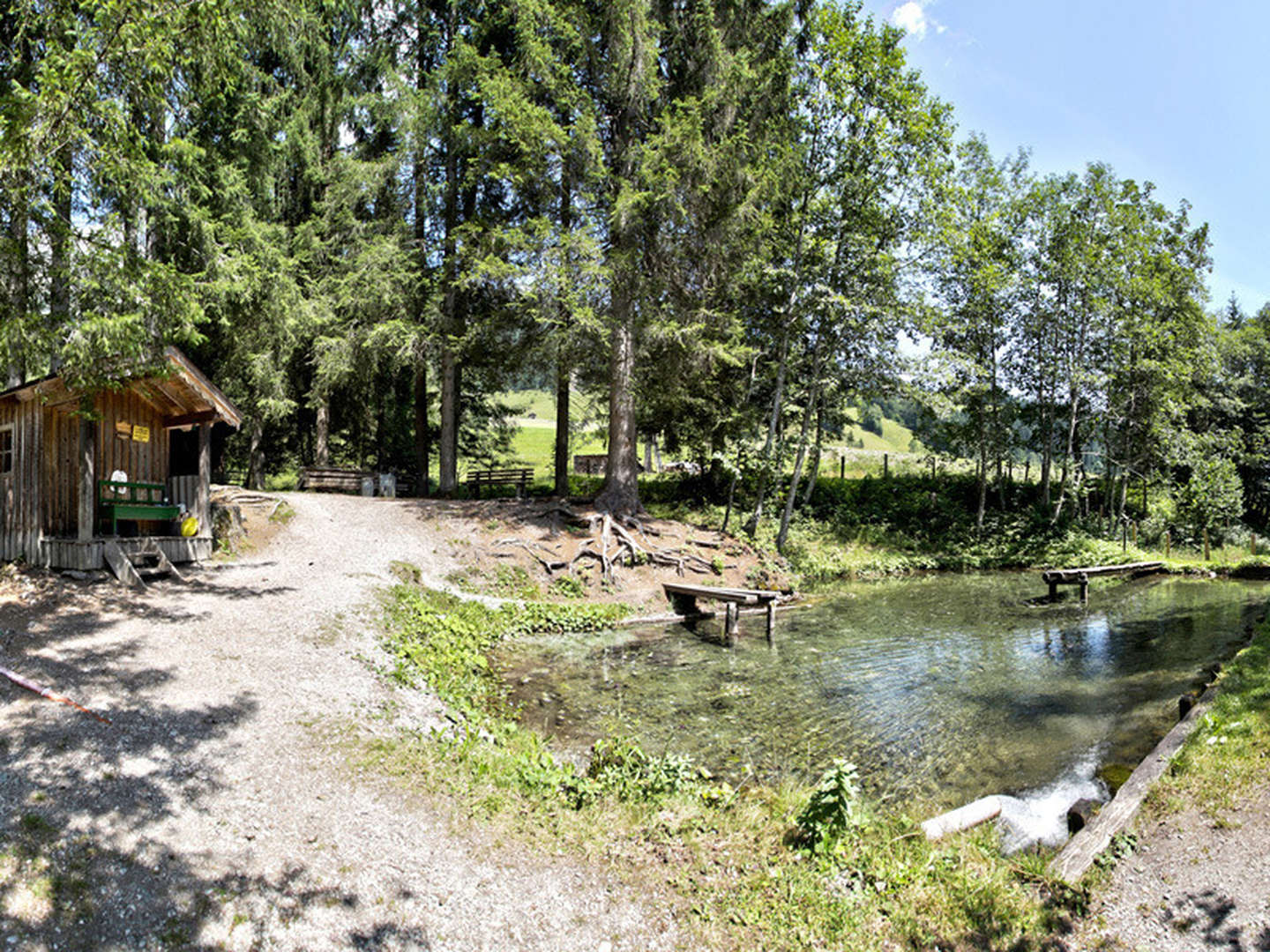 Angeln & Grillen am Fischteich im Salzburger Land | 3 Nächte